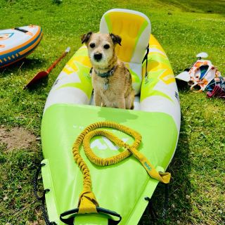 Kdo by to byl řekl, že náš největší parťák má čtyři tlapky? 🐕 S TAHLEM už nemusíte makat, stačí se nechat táhnout! 🌊...